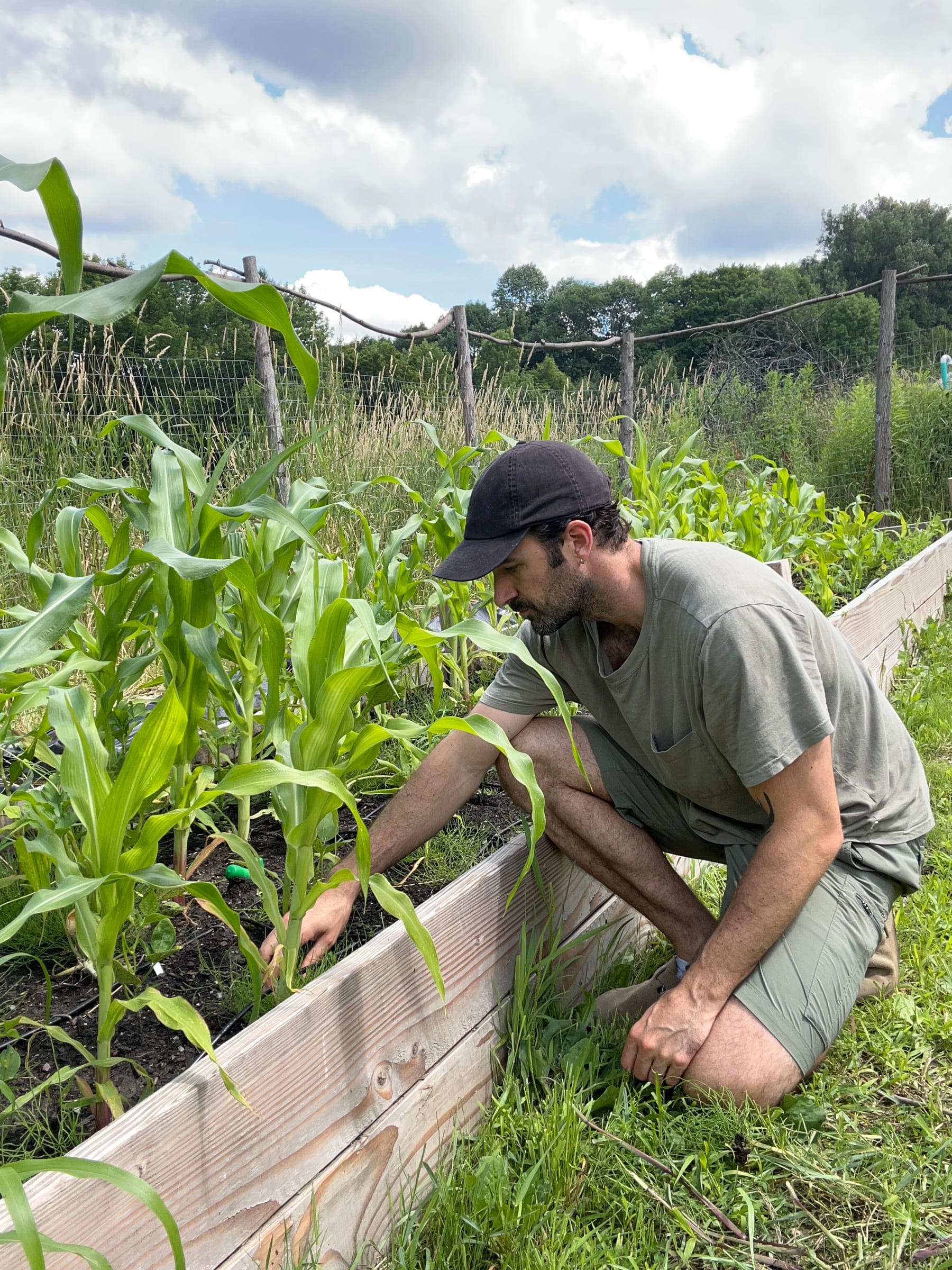 Founder Brad Ferrada at the corn bed, July.
